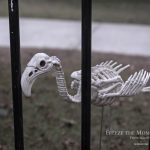 Mr. Bones Clarksville tn Tennessee skeleton decorations decor halloween yard setup headstone cemetery