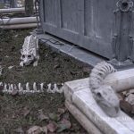 Mr. Bones Clarksville tn Tennessee skeleton decorations decor halloween yard setup headstone cemetery