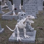 Mr. Bones Clarksville tn Tennessee skeleton decorations decor halloween yard setup headstone cemetery raven crow