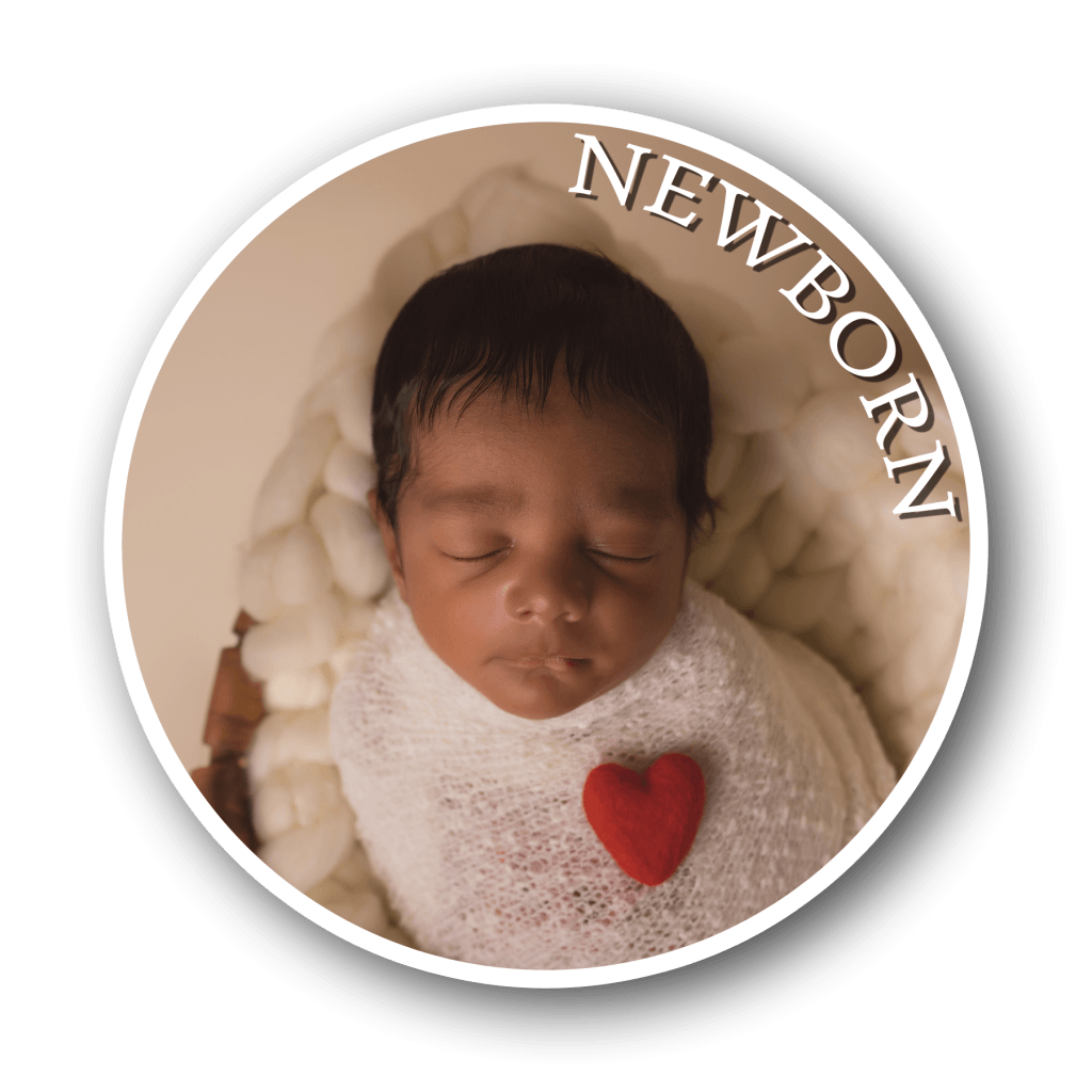 Newborn Portfolio Icon
